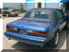 AMS 85 Ford Mustang 02.jpg (103517 bytes)