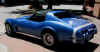 Corvette T-Top Black Sun Screen 0.JPG (2061307 bytes)