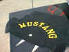 Mustang mat logo01.jpg (99012 bytes)